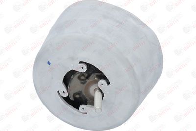 SUPORT MOTOR BIRTH 50746 3