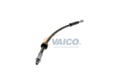 FURTUN FRANA VAICO V461009 50