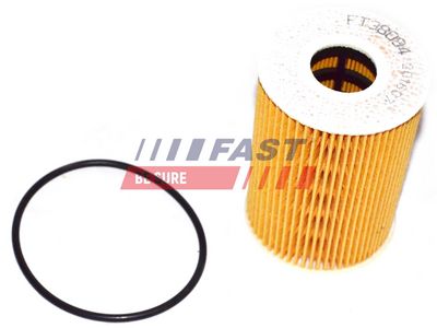 Olejový filtr FAST FT38094