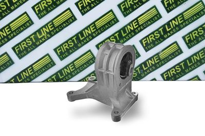окачване, двигател FIRST LINE FEM4011