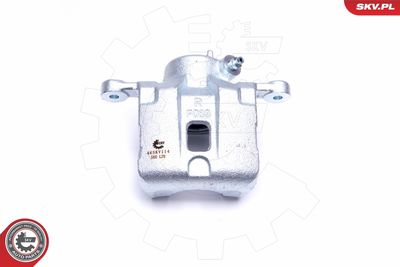 Brake Caliper 46SKV114