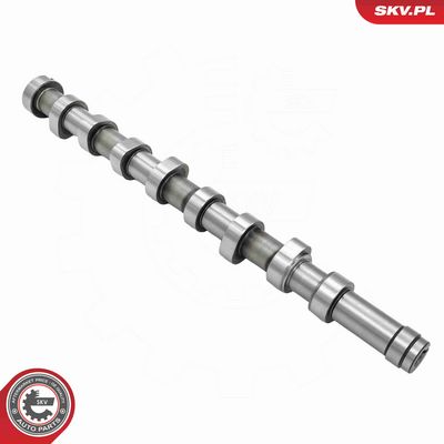 AX CU CAME ESEN SKV 80SKV001 2