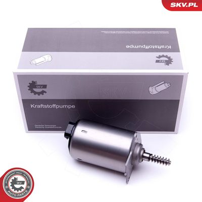 Stellelement, Exzenterwelle (variabler Ventilhub)