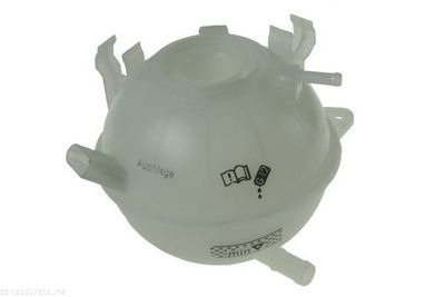 VAS DE EXPANSIUNE RACIRE