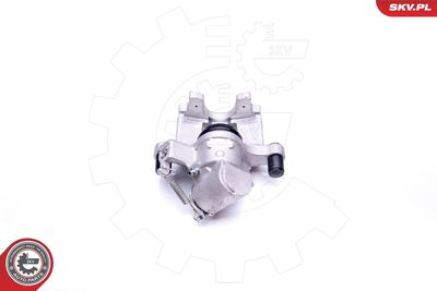 Brake Caliper 42SKV343