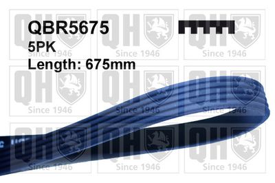 Поликлиновой ремень QUINTON HAZELL QBR5675 для FORD FIESTA