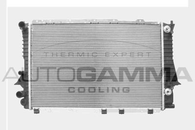 Радиатор, охлаждение двигателя AUTOGAMMA 103976 для AUDI 100