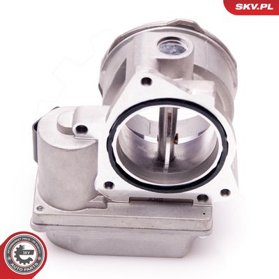 Gasreglage ESEN SKV 12SKV062