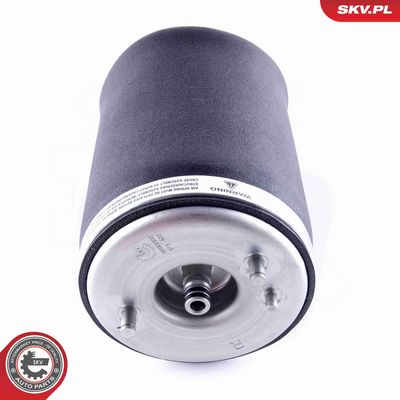 ARC PNEUMATIC DIRECTIE ESEN SKV 58SKV002 1