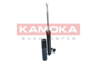 Shock Absorber 2000978