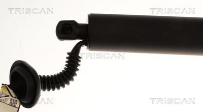 Plynárenská vzpera (pneumatická pružina), zavazadlový priestor TRISCAN 8710 23315