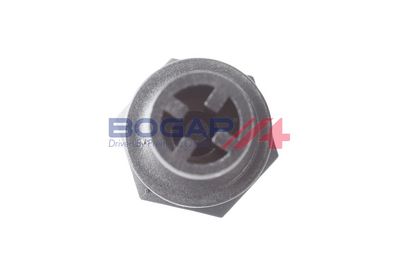 VENTIL AERISIRE CARTER BOGAP W1214110 3