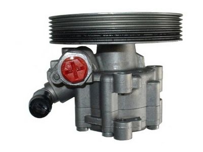 HYDRAULIKPUMPE LENKUNG SPIDAN 54181 2