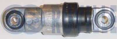 SCHWINGUNGSDäMPFER KEILRIPPENRIEMEN