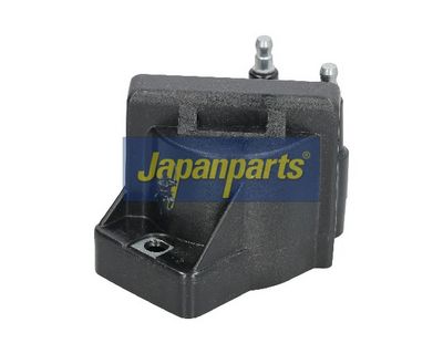 JAPANPARTS Ritė, uždegimas