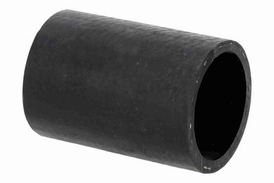 FURTUN EAR SUPRAALIMENTARE ACKOJA A389599 2