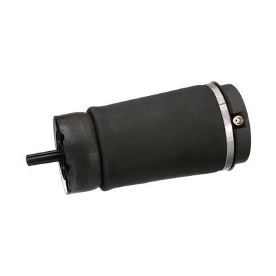 LUFTFEDER FAHRWERK Arnott A2831 51