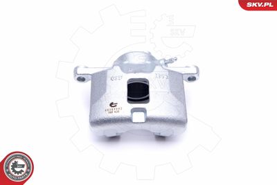 Brake Caliper 46SKV082