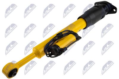 AMORTIZOR NTY ACH123 1