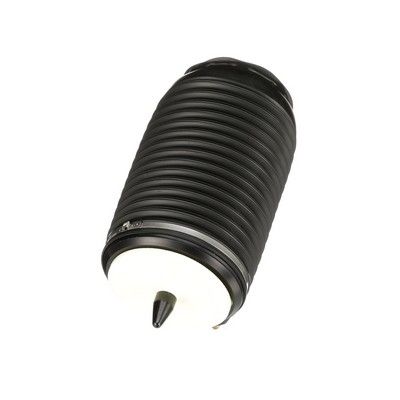 LUFTFEDER FAHRWERK Arnott A3295 59