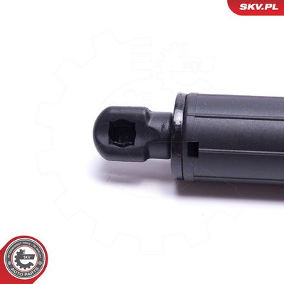 Dujinė spyruoklė, bagažinė