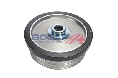 FULIE CUREA ARBORE COTIT BOGAP B1213115 1