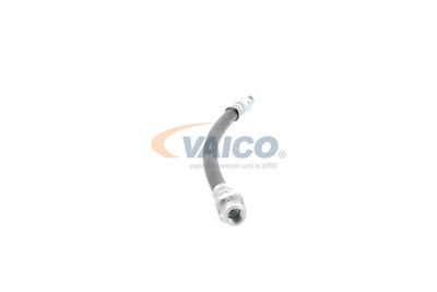 FURTUN FRANA VAICO V201900 39