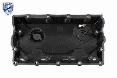 Cylinder Head Cover V10-5980