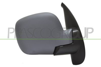 AUßENSPIEGEL PRASCO RN9187313