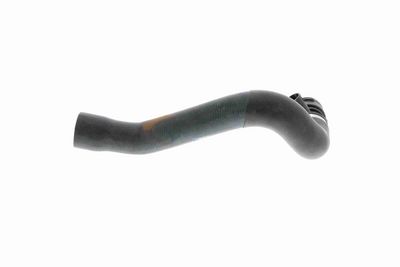 FURTUN RADIATOR VAICO V201924 5