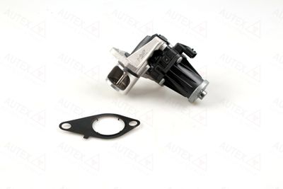 Zawór AGR AUTEX 959557