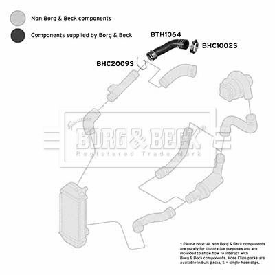 Charge Air Hose Borg & Beck BTH1064