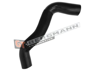 GT-BERGMANN Automotive Kompresoriaus padavimo žarna