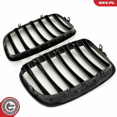 GRILA RADIATOR ESEN SKV 66SKV284 3