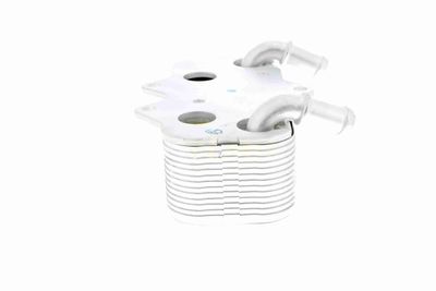 RADIATOR ULEI ULEI MOTOR VEMO V40602096 7