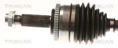 PLANETARA TRISCAN 854043523 1