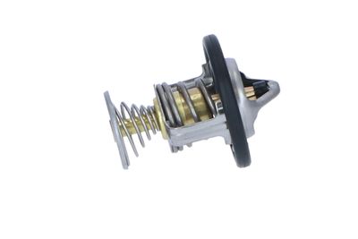 TERMOSTAT LICHID RACIRE NRF 725199 36