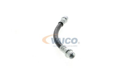 FURTUN FRANA VAICO V104136 47