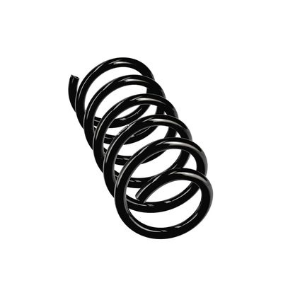 ARC SPIRAL EIBACH R10978 24