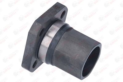 FLANSA LICHID RACIRE BIRTH 4030 11