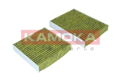 Filter, cabin air 6080040