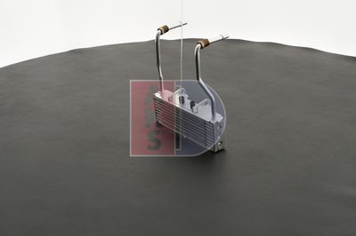 ÖLKüHLER MOTORöL AKS DASIS 066000N 10