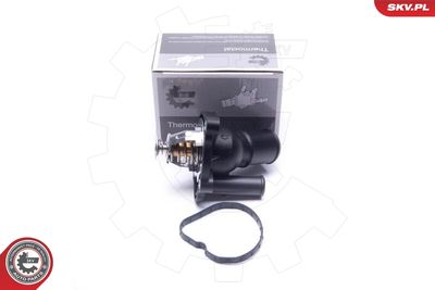 Thermostat, coolant 20SKV194