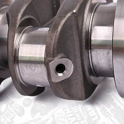ARBORE COTIT ET ENGINETEAM HK0186 3