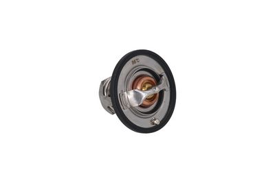 TERMOSTAT LICHID RACIRE