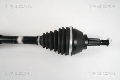 PLANETARA TRISCAN 854025648 3