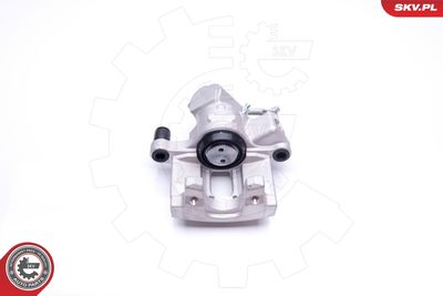 Brake Caliper 42SKV343