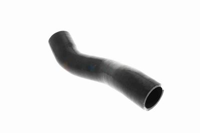 FURTUN EAR SUPRAALIMENTARE ACKOJA A389605 6