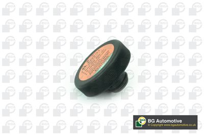 BUSON VAS EXPANSIUNE