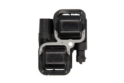 Ignition Coil ENT960053